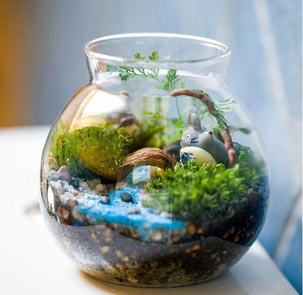  Vas  Terrarium Jarrarium Moss Succulent Tanaman  Micro 